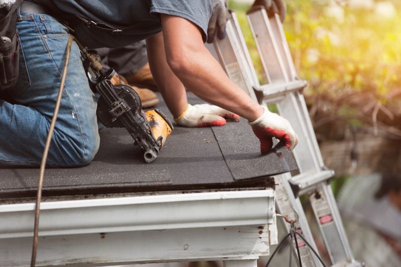 Experienced Roof Repair Technician